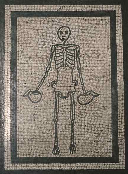 skeleton